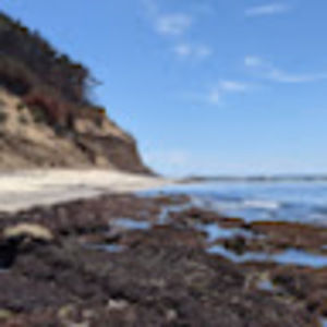 Meet your Posher, Rick